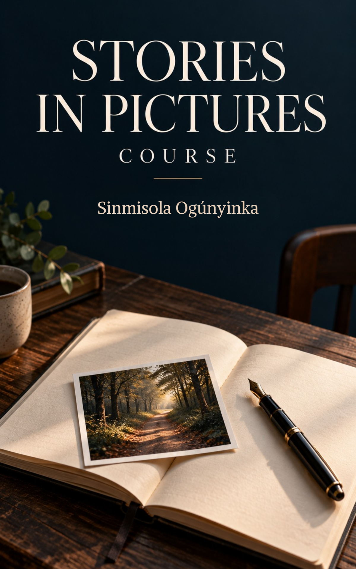 Stories in Pictures Course